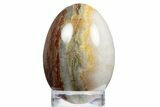 Polished Red and Green Snakeskin Jasper Egg - Western Australia #312700-1